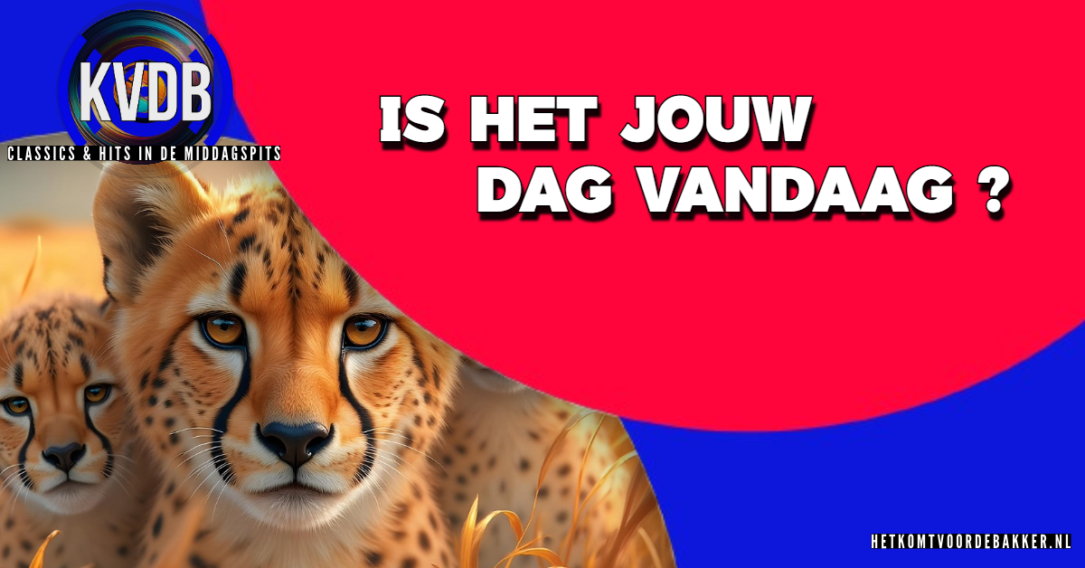 Iedere dag een feestje?