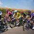 Pogacar over snelste Tour-rit ooit: &amp;#039;Lastig om weer aan te sluiten na plaspauze&amp;#039;